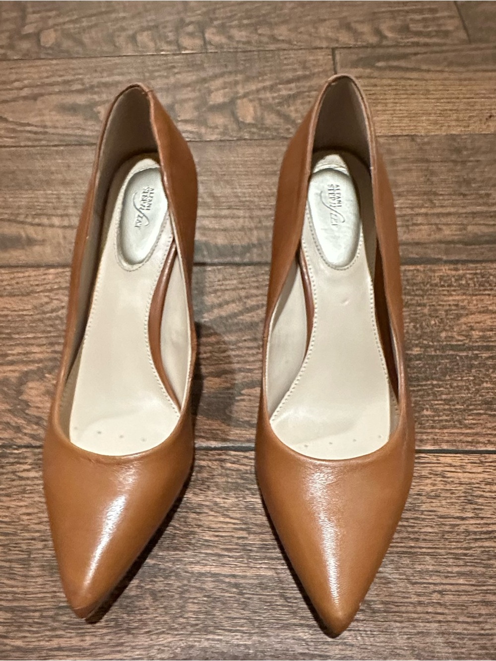 Classic Pointed-Toe Pumps in Tan
